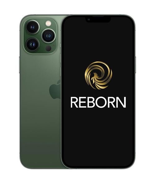 Apple iPhone 13 Pro Max 6 7 5G Double SIM Alpin Grade A Reborn