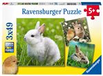 Puzzles 3 x 49 pièces Ravensburger Mignons petits lapins