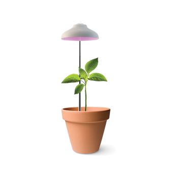 Lampe horticole - Plante artificielle - Achat & prix