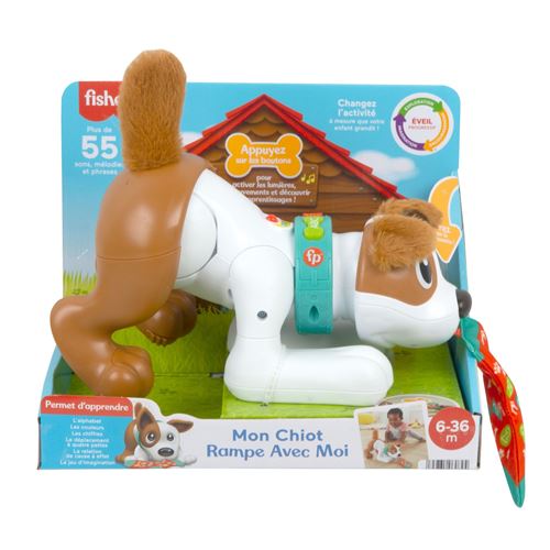 Jeu D'éveil Fisher Price Mon Chiot Rampe Avec Moi