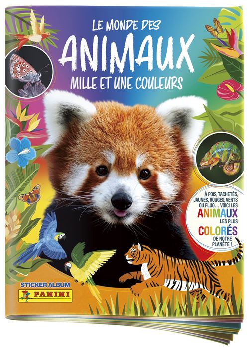 Cartes à collectionner Panini Album et 3 pochettes - vue 9