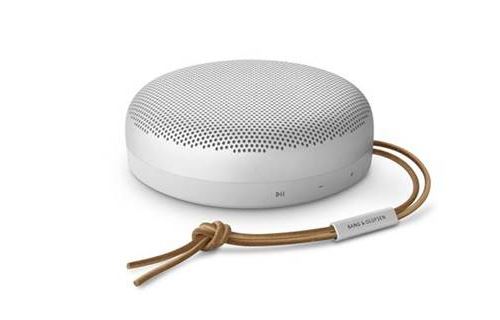 Enceinte sans fil Bluetooth Bang&Olufsen Beosound A1 2ème génération Gris