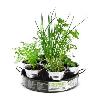 Plateau 7 aromates nouvelle recette
