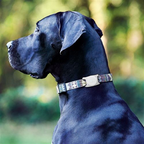 Collier tactique de chien robuste compatible avec Air Tag, collier de chien  militaire avec étui porte-étiquette d'air et poignée