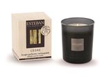 Bougie parfumée initiale rechargeable Esteban Cèdre