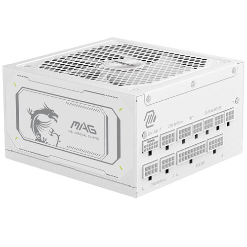 Alimentation PC modulaire MSI MAG A1000GL PCIe CEM 5.1 1000 W 80 PLUS Gold Blanc