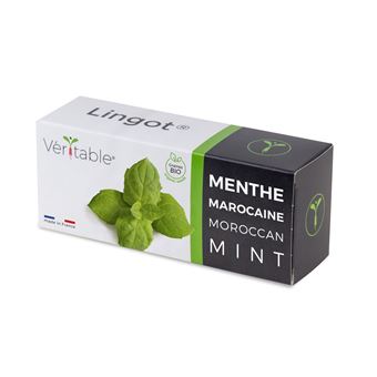 Lingot® Veritable Menthe marocaine