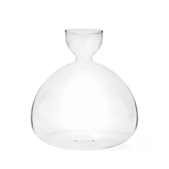Vase Transparent Pour Faire Germer Un Noyau D'avocat - Décoration Intérieure élégante Et Design