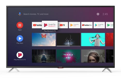 Sharp 65BL5EA 4K UHD Smart TV 65 Donkergrijs