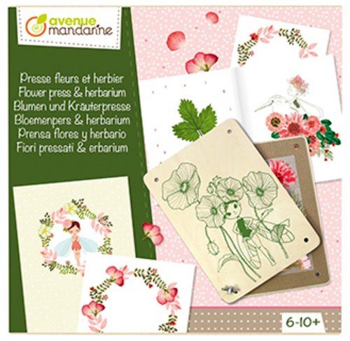 Avenue Mandarine Blanc Coffret Créatif Presse Fleurs Et Herbier - Image 3