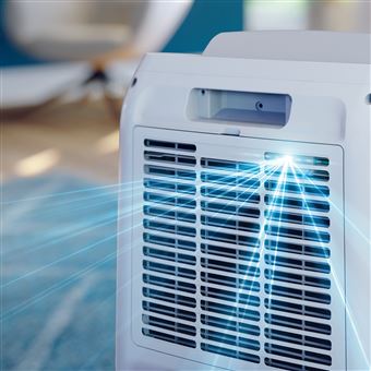 PHILIPS DE3306/11 purificateur et Deshumidificateur  Blanc Serie 3000