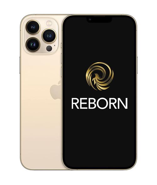 Apple iPhone 13 Pro Max 6,7 5G Double SIM 128 Go Or 5G Reconditionné Grade A Reborn