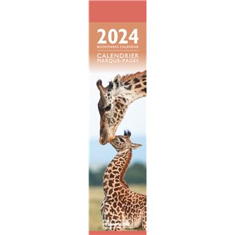 Calendrier Marque-Pages Pictura 2024 Bébés Animaux