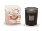 Bougie parfumée initiale rechargeable Esteban Iris Cachemire