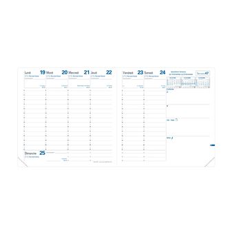 Agenda civil Quo Vadis Exécutif Bloom Fleurs