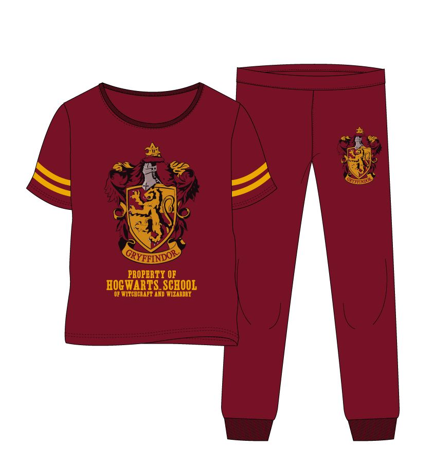 Pyjama Harry Potter pour femme Taille XL Bordeaux - Autres vêtements  goodies