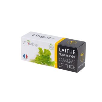 Lingot Véritable Laitue Feuille de chêne