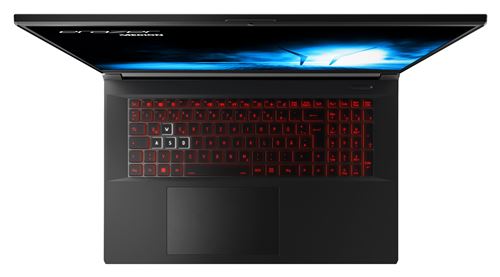 PC Portable Gaming Medion Erazer Defender P30 MD62578 17,3