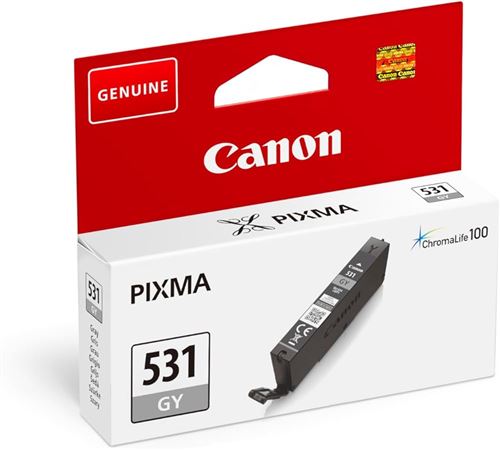 Cartouche d encre Canon Pixma Chroma Life 100 TS8750 S/BL Gris