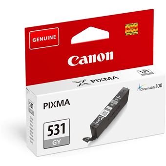 Cartouche d'encre Canon Pixma Chroma Life 100 TS8750 S/BL Gris - 1