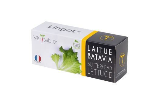 Lingot Véritable Laitue Batavia