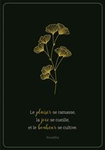 Set 2 carnets Pictura A6 Agraphés 1