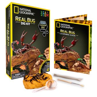 Jeu scientifique National Geographic Insectes