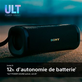 Paire D'enceintes Sony SRS-77G – Amplifiées – Portables – Piles/secteur – Occasion