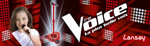 Microphone sur pied The Voice LANSAY : la boîte à Prix Carrefour