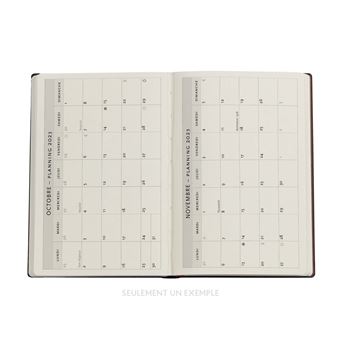 AG3 MINI MORRIS BIRD