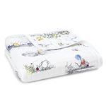 Couverture de rêve Disney Winnie the Pooh