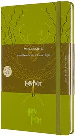 Harry Potter carnet ligne grand format vert clair