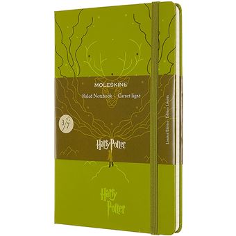 Harry Potter carnet ligne grand format vert clair