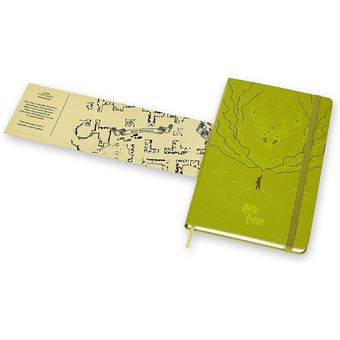 Harry Potter carnet ligne grand format vert clair