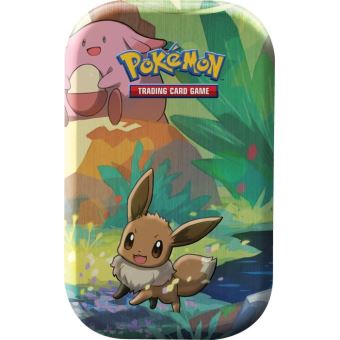 Lot de 2 boites en métal avec 229 cartes Pokémon - Pokémon TM