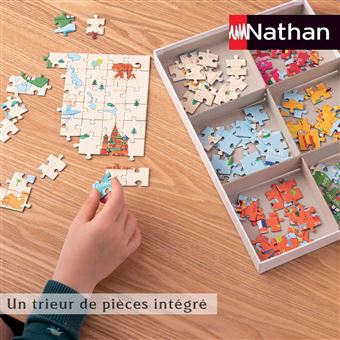 Puzzle 250 pièces Nathan Types de Pokémon