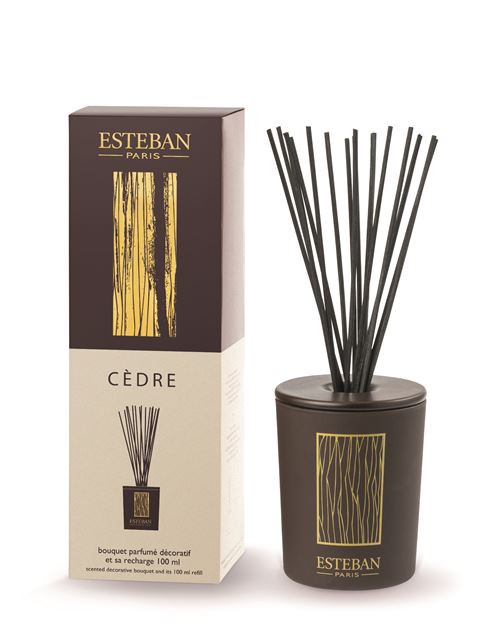 Bouquet Parfumé Décoratif Esteban Cèdre