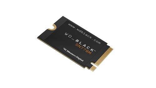 Acheter SSD M.2 1 To WD Black SN770M (WDS100T3X0G)