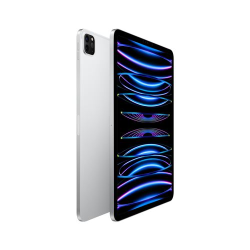 Apple iPad Pro 11 (2e Génération) 128Go Wi-Fi - Argent (Reconditionné) :  Amazon.fr: Informatique