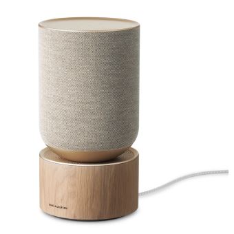 Enceinte Sans Fil Bang & Olufsen BeoLab 5 – Bluetooth, Occasion, Design Iconique