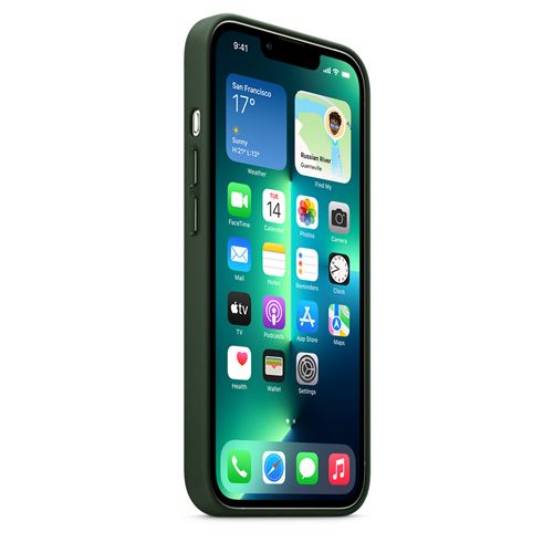 Coque Luxe Cuir Housse Etui L01 pour Apple iPhone 13 Pro Max Vert