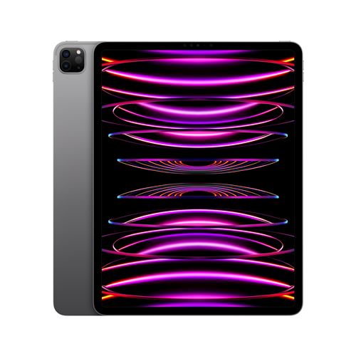 Apple iPad Pro 12,9" Puce Apple M2 256Go Gris Sidéral Wifi Fin 2022
