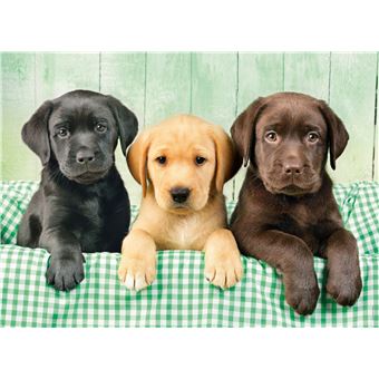 Puzzle 1000 pièces Clementoni High Quality Three Labs