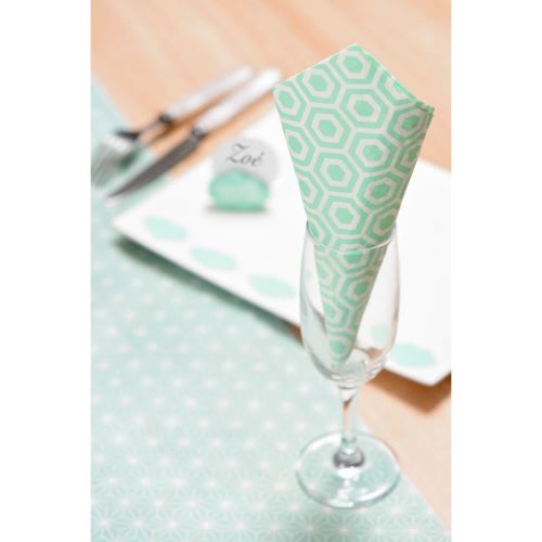 Lot de 20 serviettes anniversaire : Mint Santex