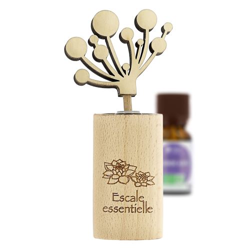 Diffuseur par capillarité