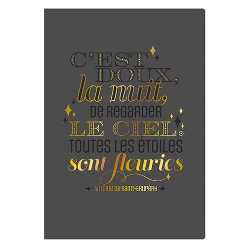 LEITMOTIV CARNET SOUPLE A5 Renard - Luxe