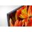 TV Sony Bravia KD55XF8596BAEP UHD 4K HDR Android TV 55"_6