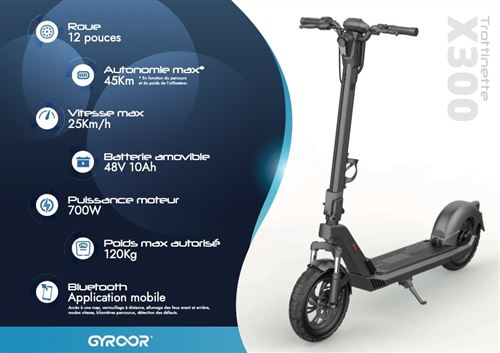 Trottinette électrique Gyroor 700 W Gris foncé - Trottinette