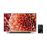 Sony KD75XF9005BAEP 4K HDR LED 75" TV_9