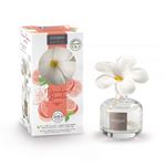 Fleur à parfum et sa recharge Esteban Pomelo Basilic 75 ml